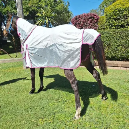Summer Fly Rug | Cotton Mesh Insect Repellent Horse Rug | Love My Horse