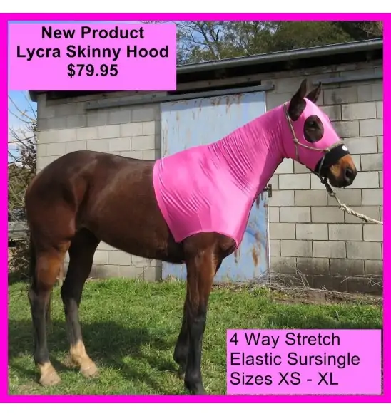 Lycra Skinny Horse Hood Pink|Horse Rugs | LOVE MY HORSE - Australia