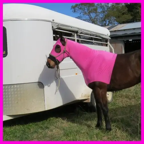 Lycra Skinny Horse Hood Pink|Horse Rugs | LOVE MY HORSE - Australia