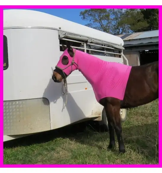 Lycra Skinny Horse Hood Pink|Horse Rugs | LOVE MY HORSE - Australia