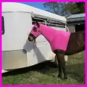 Lycra Skinny Horse Hood Pink|Horse Rugs | LOVE MY HORSE - Australia
