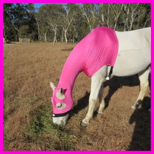 Lycra Skinny Horse Hood Pink|Horse Rugs | LOVE MY HORSE - Australia