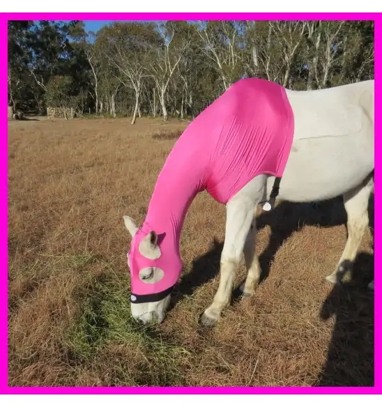 Lycra Skinny Horse Hood Pink|Horse Rugs | LOVE MY HORSE - Australia