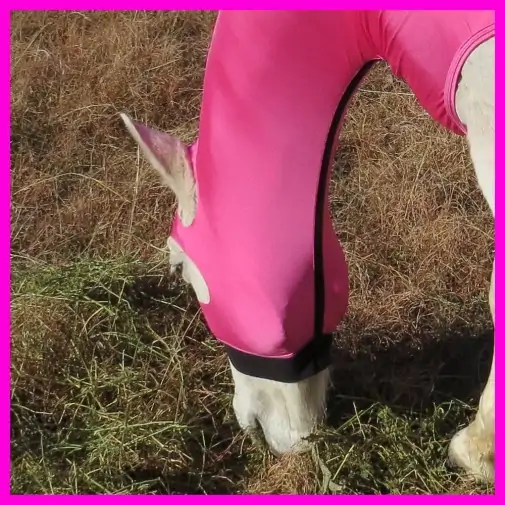 Lycra Skinny Horse Hood Pink|Horse Rugs | LOVE MY HORSE - Australia