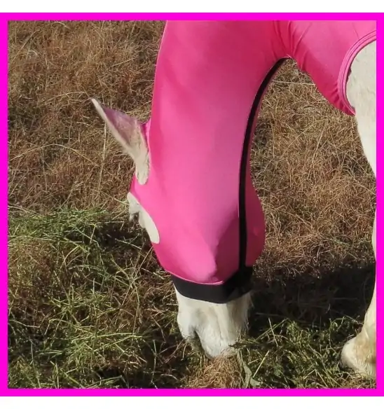 Lycra Skinny Horse Hood Pink|Horse Rugs | LOVE MY HORSE - Australia