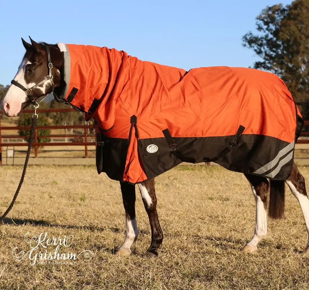 | Love My Horse 1200d Rainsheet Combo