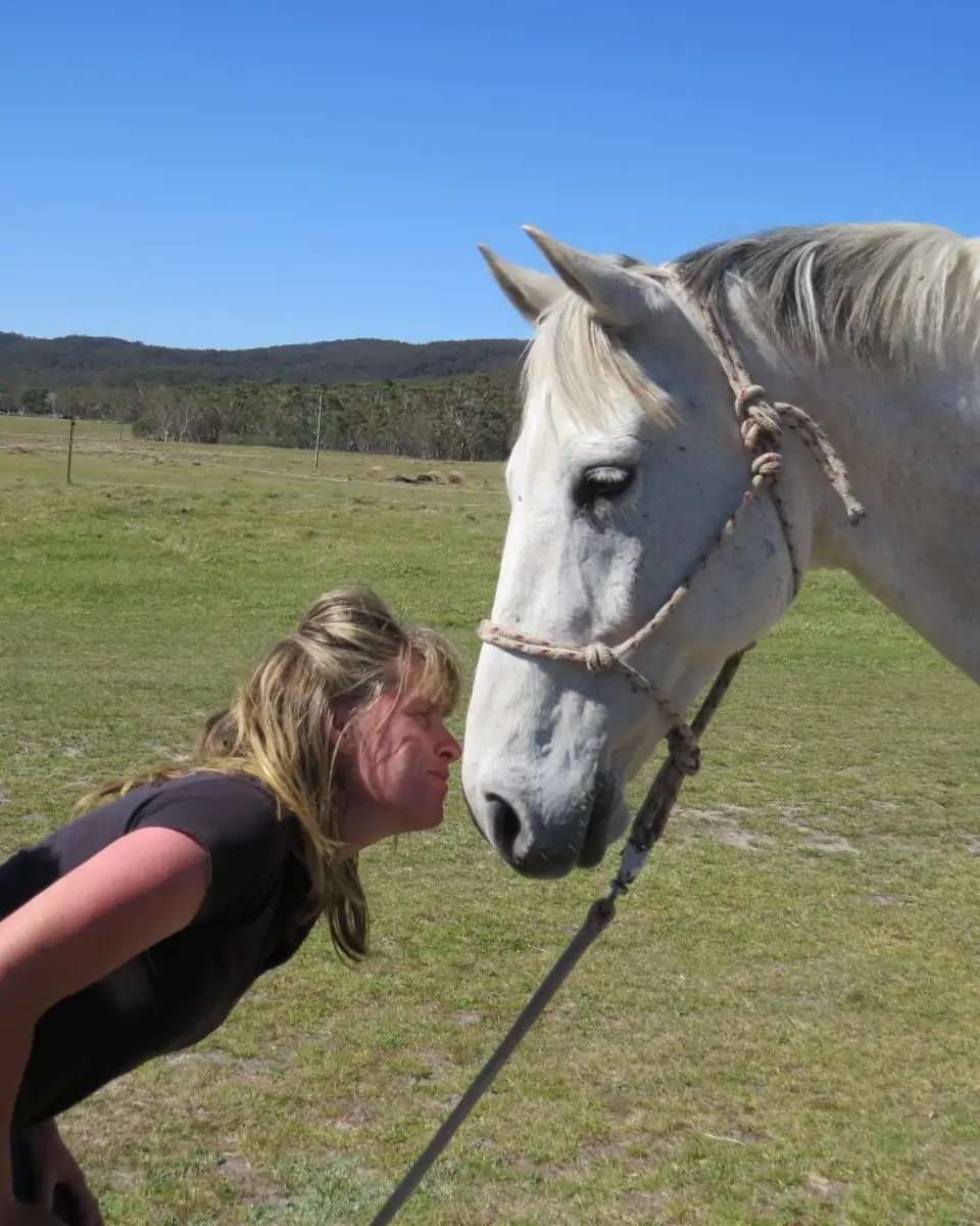 Sharing The Love With an Older horses