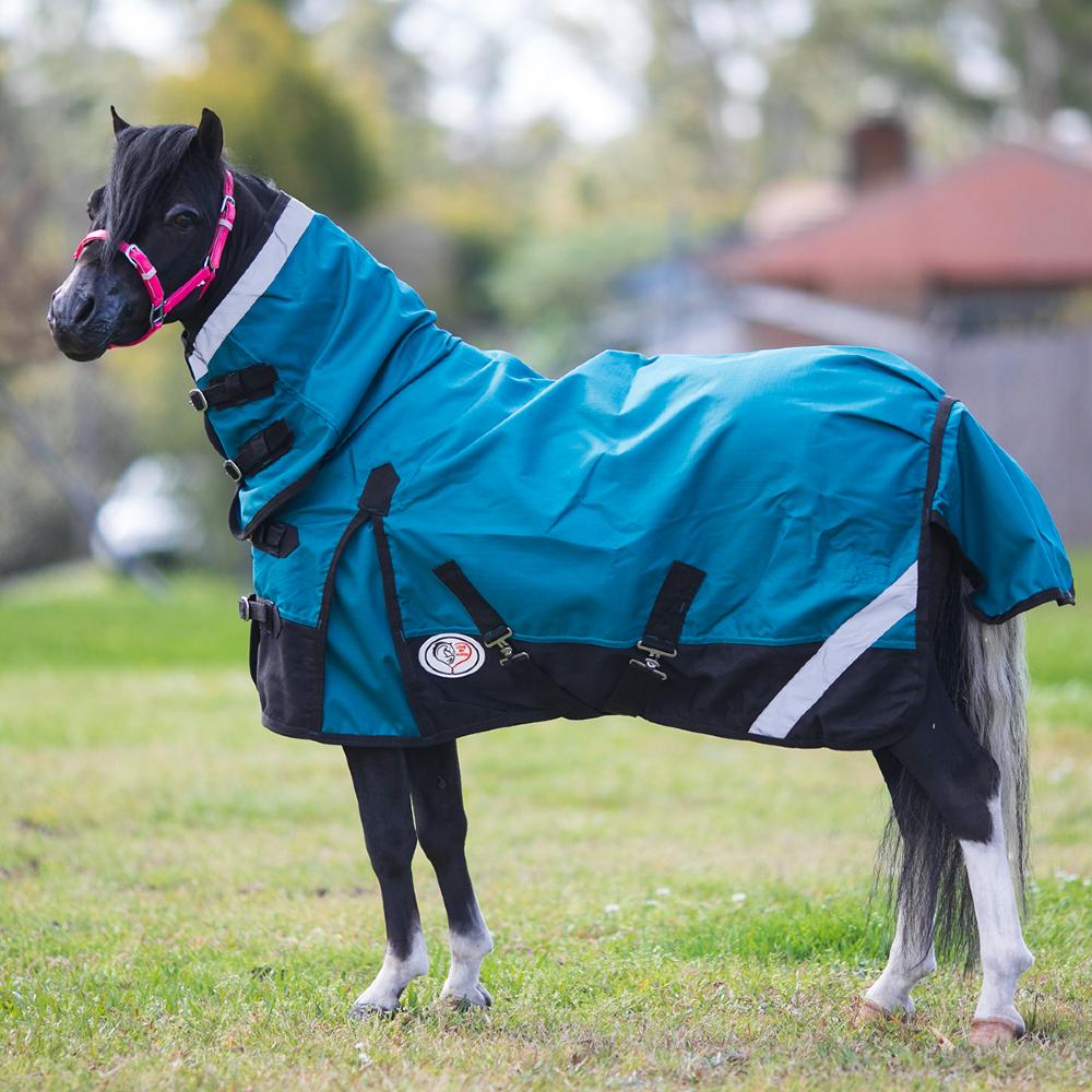 Natalie W. horse