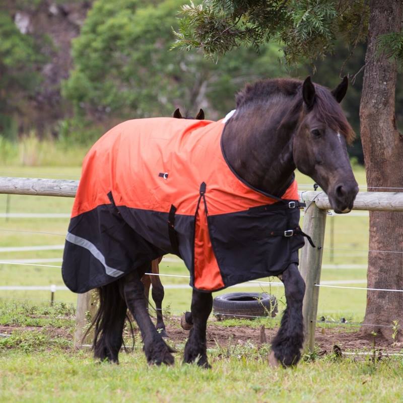 Some of the Love My Horse rugs. Photos: Facebook.