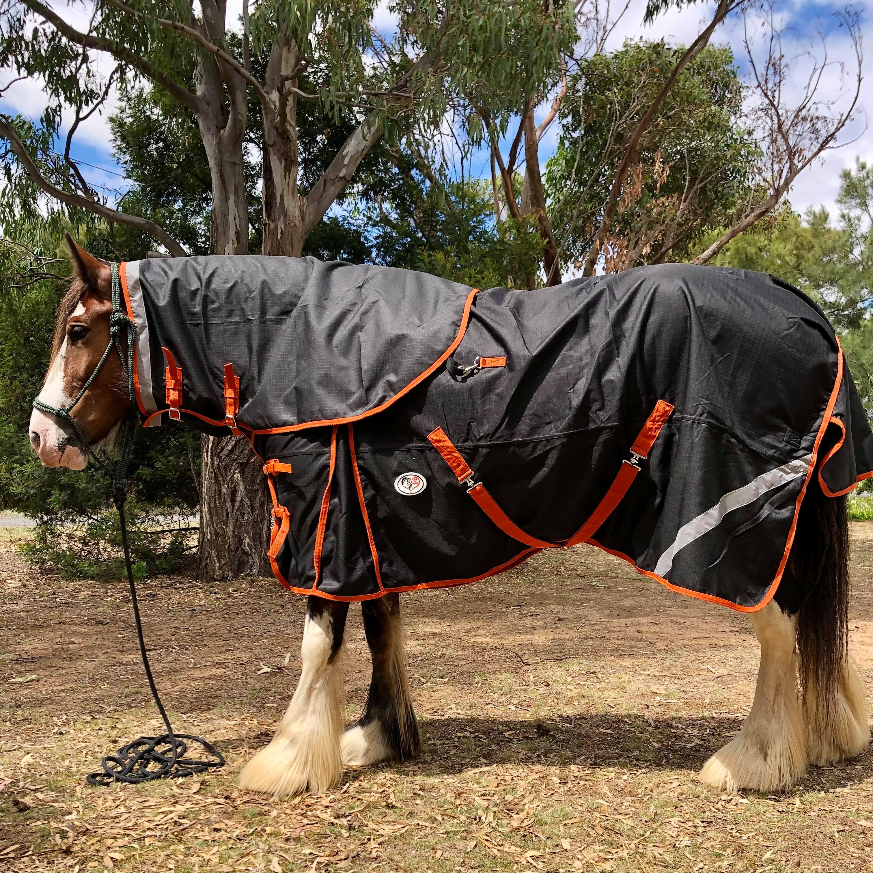 Winter Clydesdale Heavy Horse Rugs