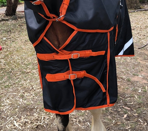 | Love My Horse Chest fir for Love My horse Clydy Rugs