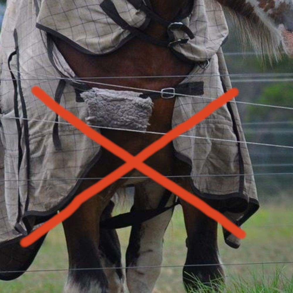 | Love My Horse Problem of bad fitting chest for clydy horse rugs