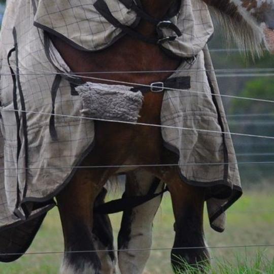 | Love My Horse Clydy horse rugs chest fit issues