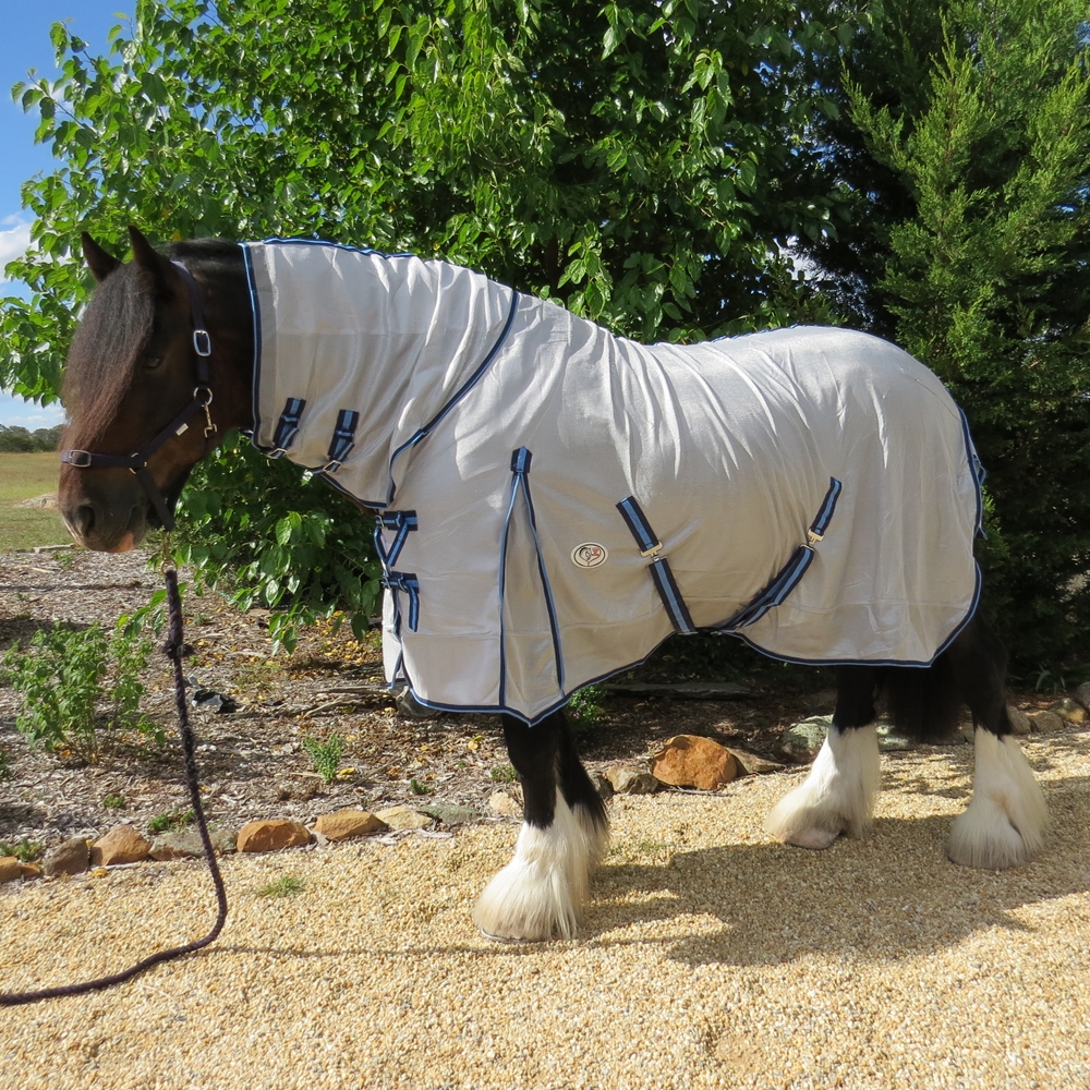 Clydy mesh rug Clydesdale Horse wearing blue mesh summer combo rug