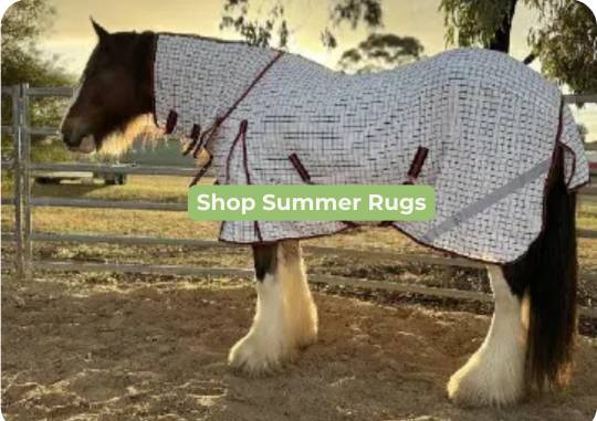 Summer Clydesdale Horse Rug Love My Horse