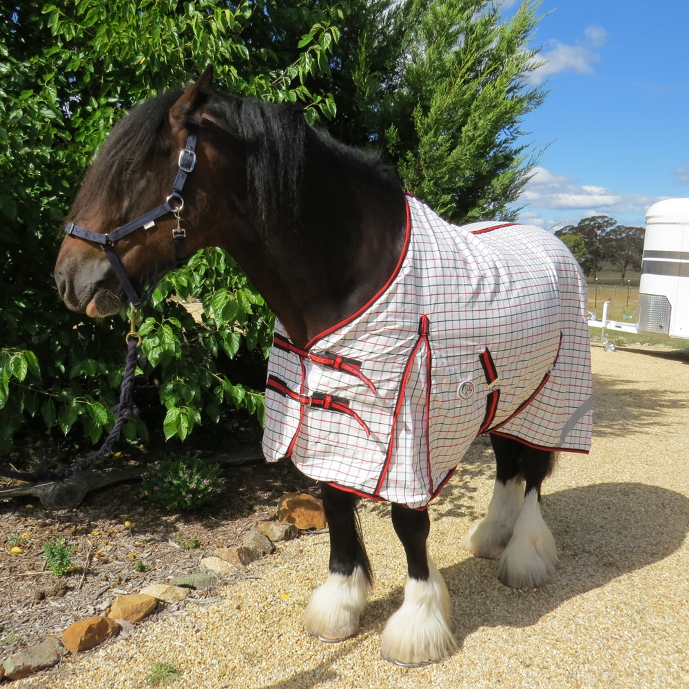 | Love My Horse Cotton summer horse rug for heavy horse