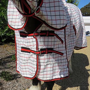 | Love My Horse Correct chest fit for a clydy horse rug