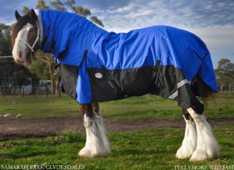 | Love My Horse Winter Clydesdale Combo Horse Rug Blue
