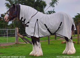 | Love My Horse Fly repellent technology IR3535