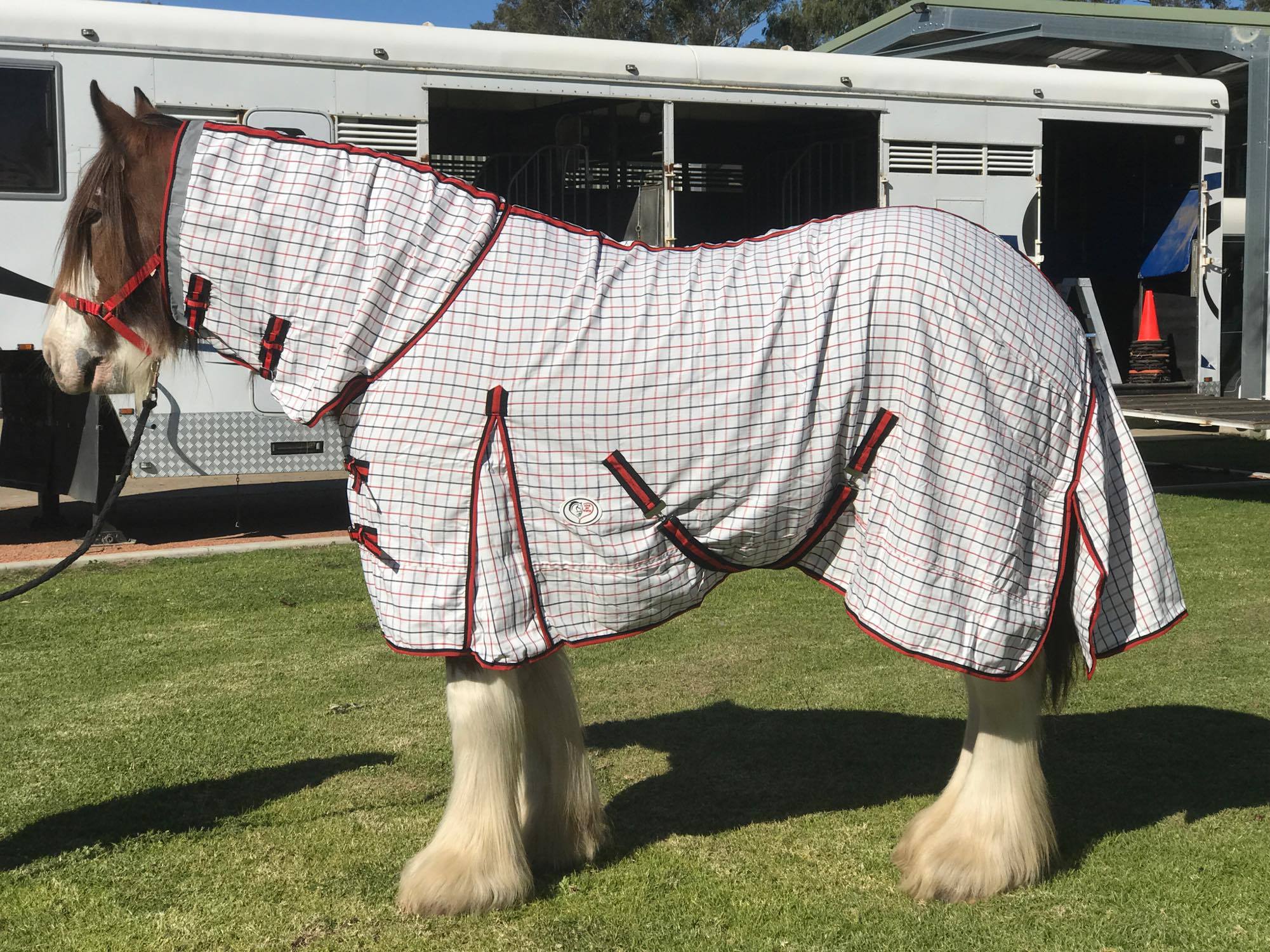 | Love My Horse Fly repellent technology horse rugs
