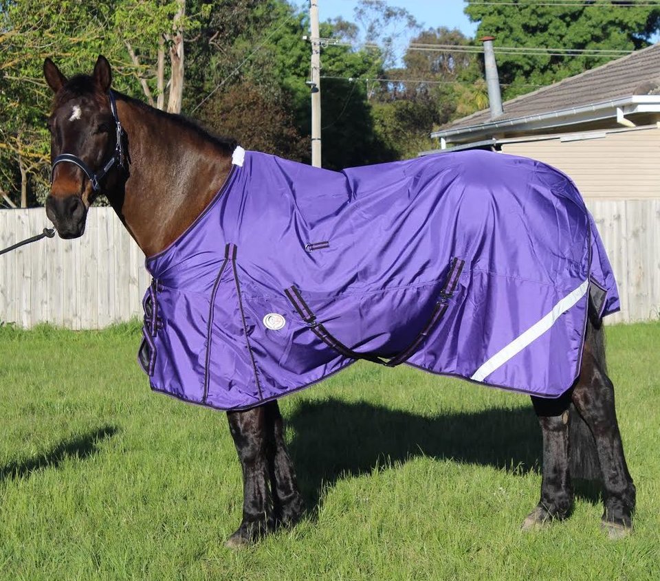 | Love My Horse Rainsheet rug for clydesdale horse