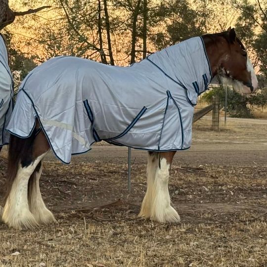 | Love My Horse Fly repellent technology IR3535