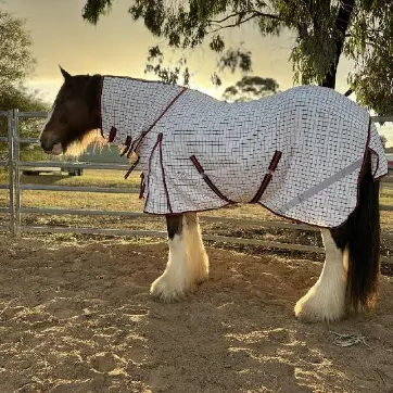 Colonial Clydesdale in Love my Horse Red Cotton Combo