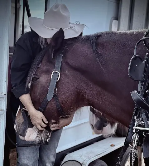 Emma from Colonial Clydesdales in a hug with her horse