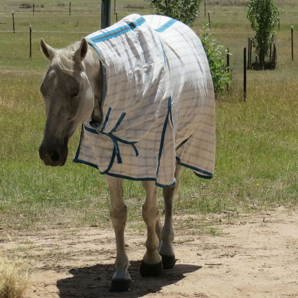 cotton combo horse rug – lbreathable summer protection | Love My Horse