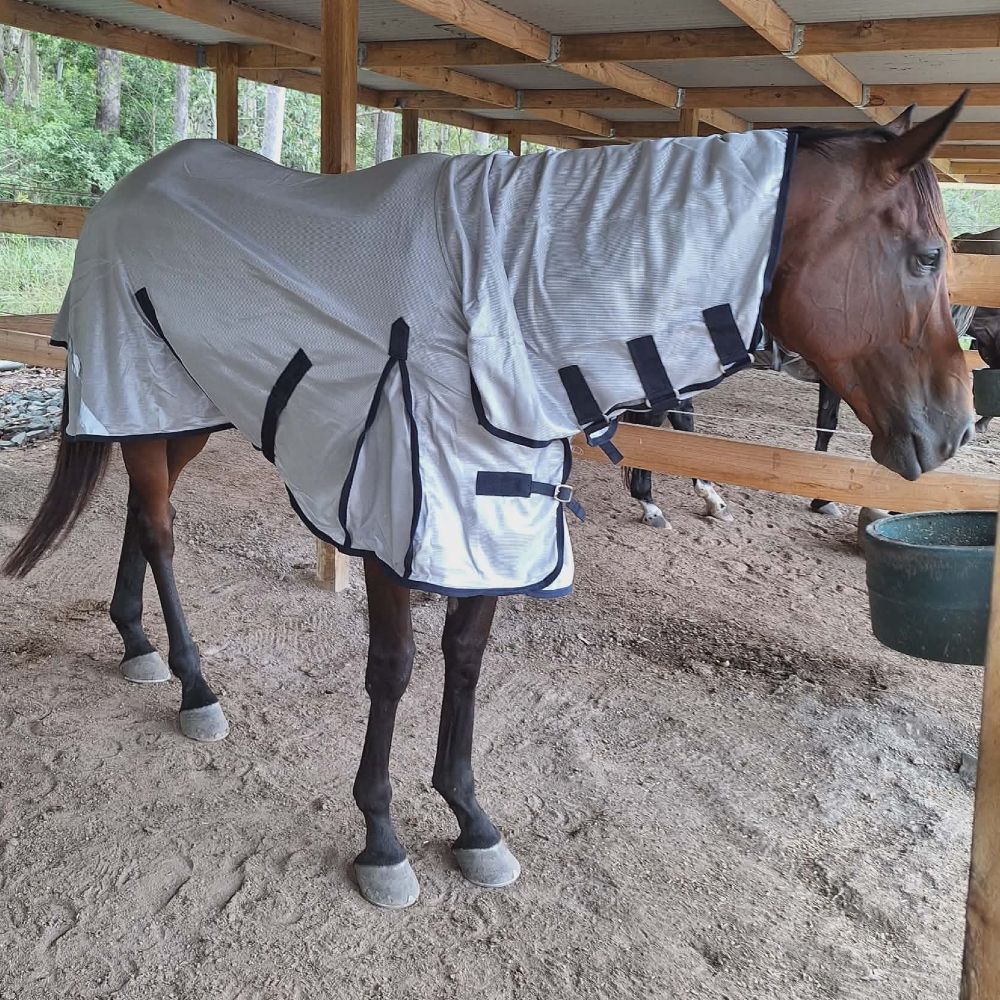 Fly repellent technology IR3535