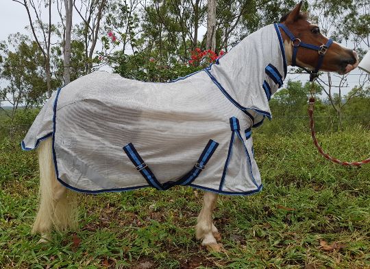 Fly repellent technology IR3535