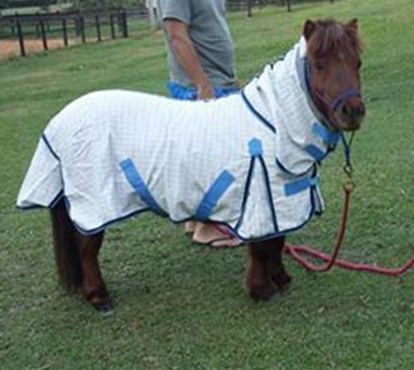 Mini Cotton Horse Rug
