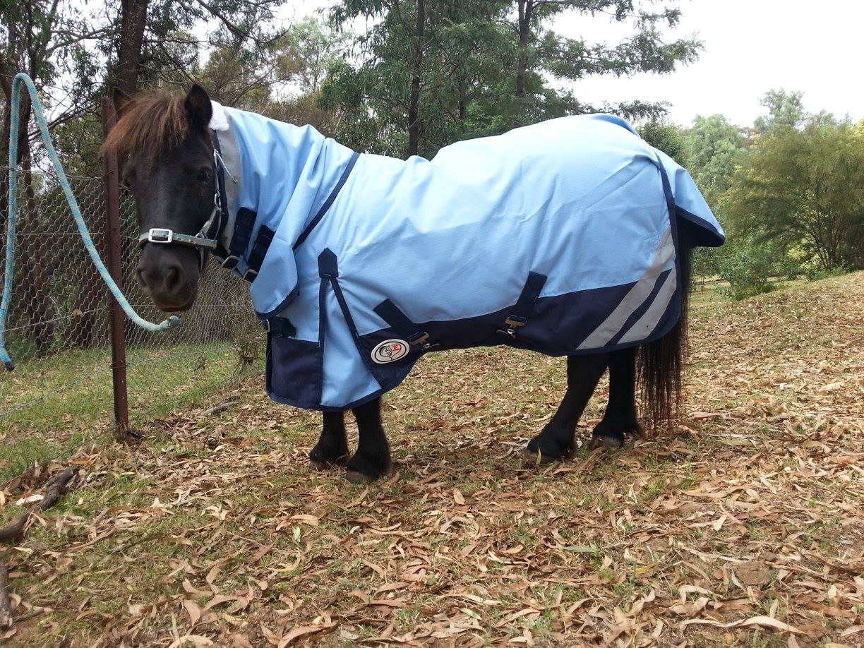 Mini winter horse rug with winter fill