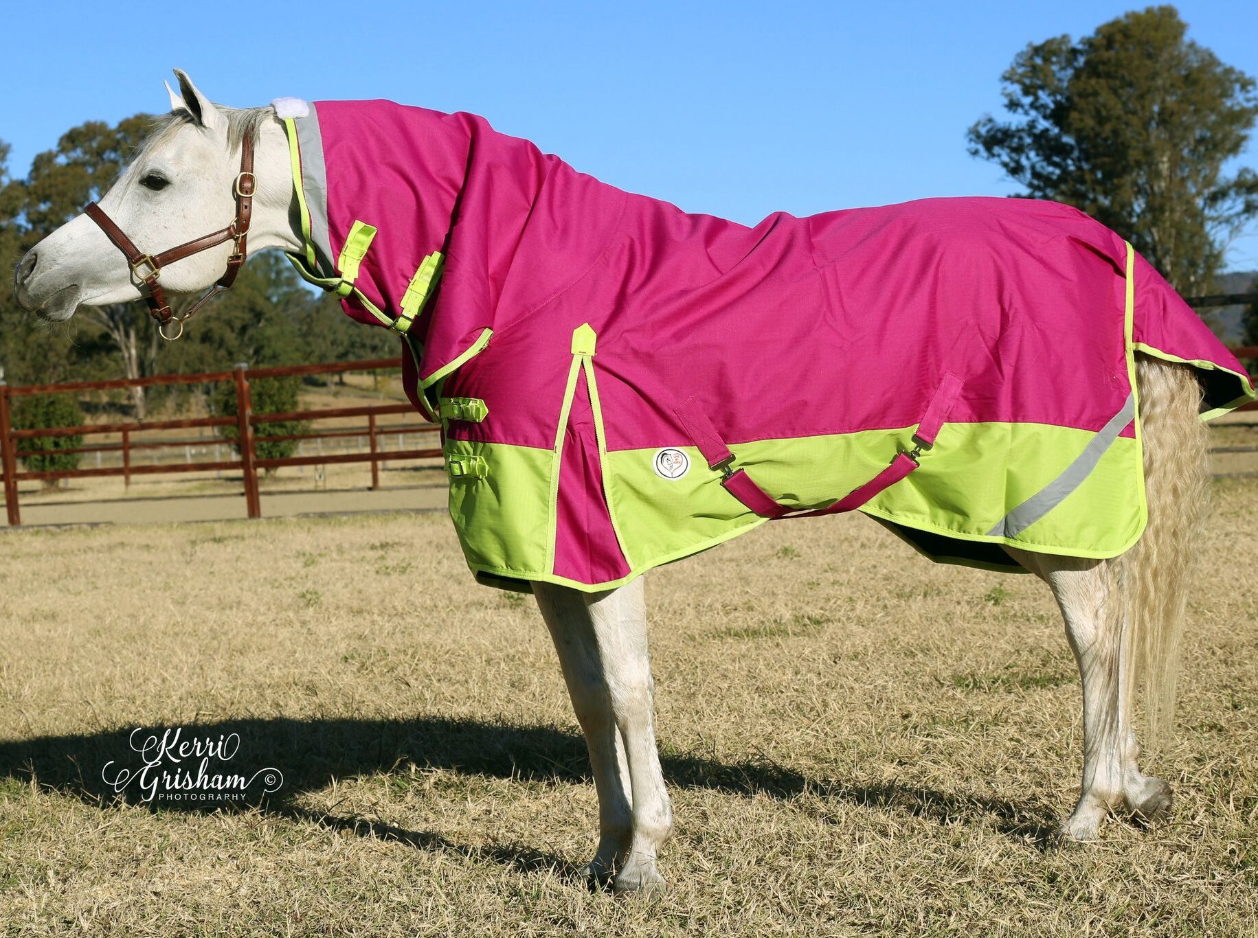 Light weight winter rugs