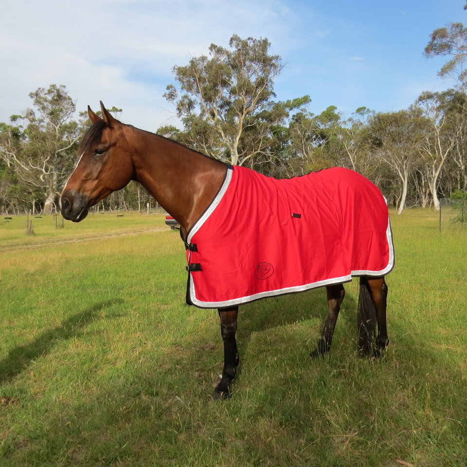 Red summer cotton horse rug – practical breathable protection | Love My Horse