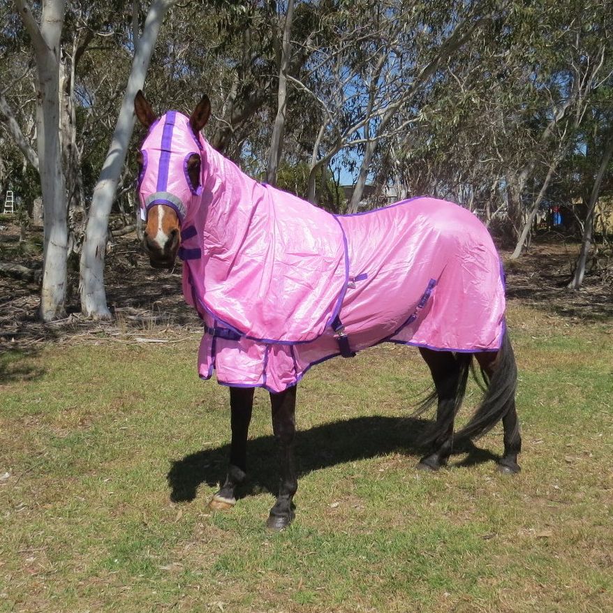 | Love My Horse Soft mesh rug and hood set pink
