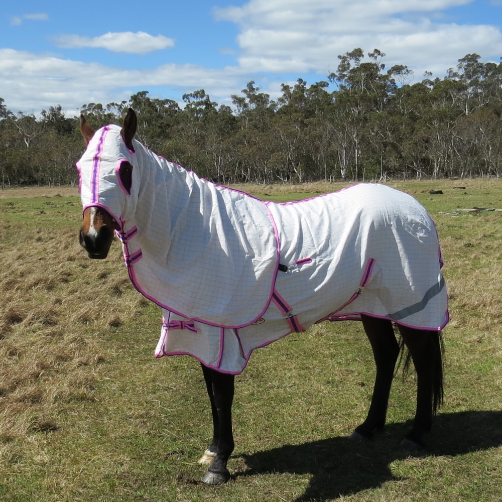  cotton rug and hood set horse rug – lightweight summer protection | Love My Horse