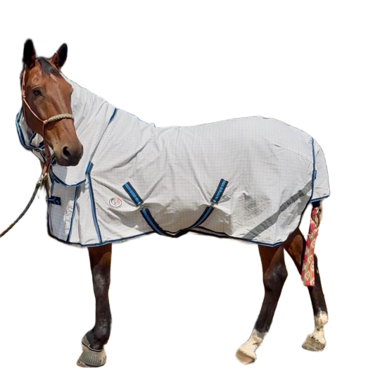 Summer Horse Rugs