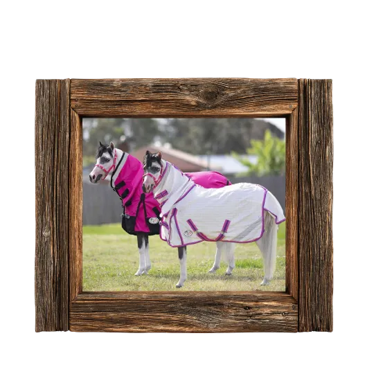 Rainsheet Hybrid horse rugs Love My Horse