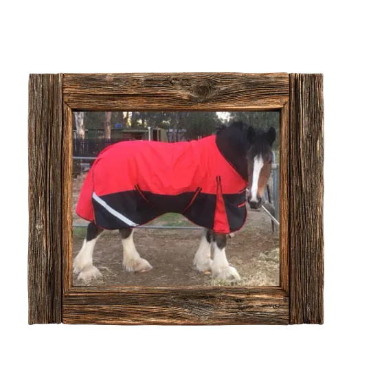 Rainsheet Hybrid horse rugs Love My Horse