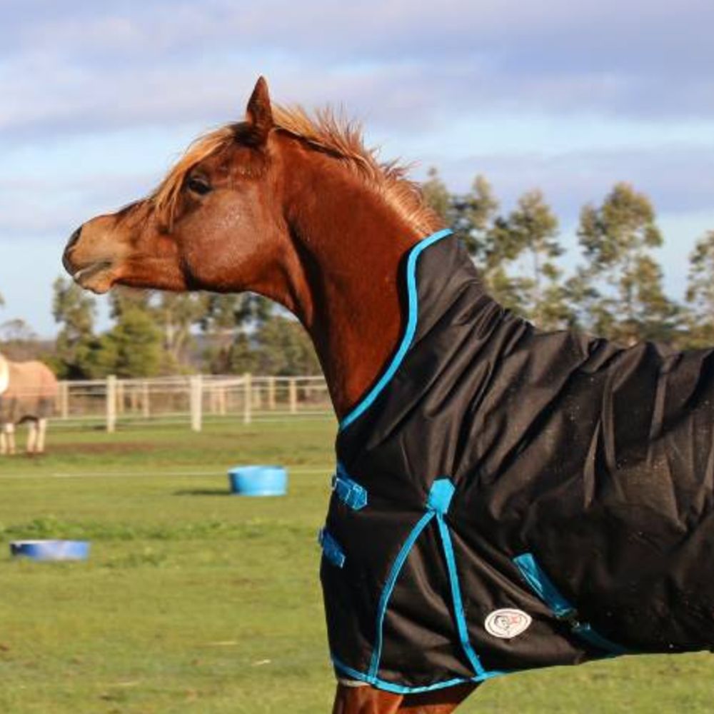 Wug high neck wug giving greater winter protection