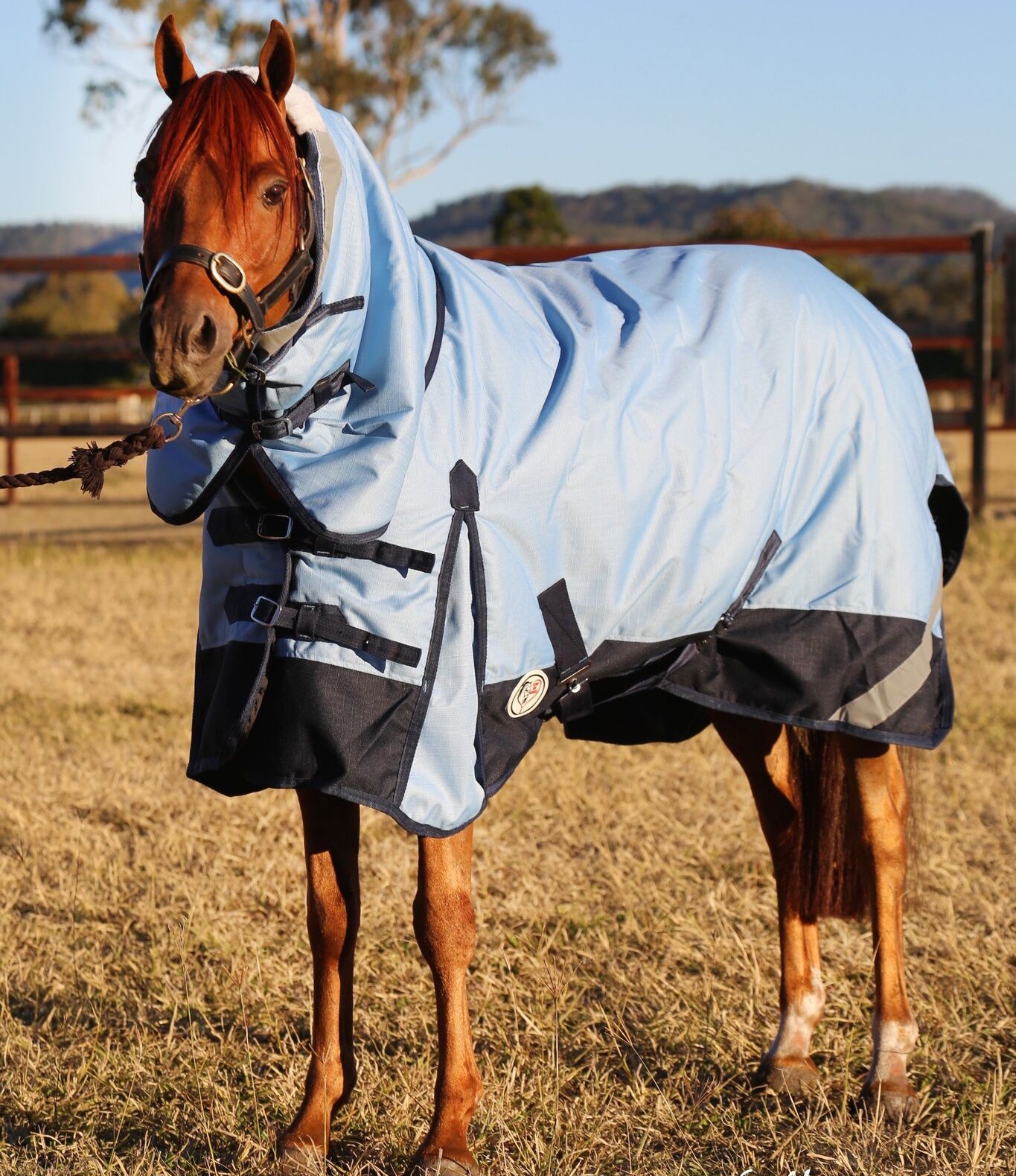 | Love My Horse Light weight winter rugs
