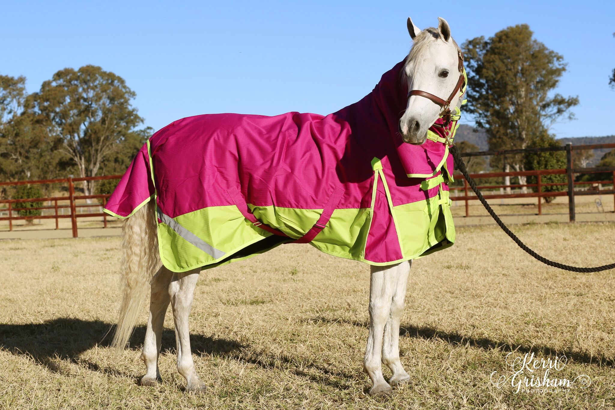 | Love My Horse 1200 Denier Rainsheet Horse Rugs