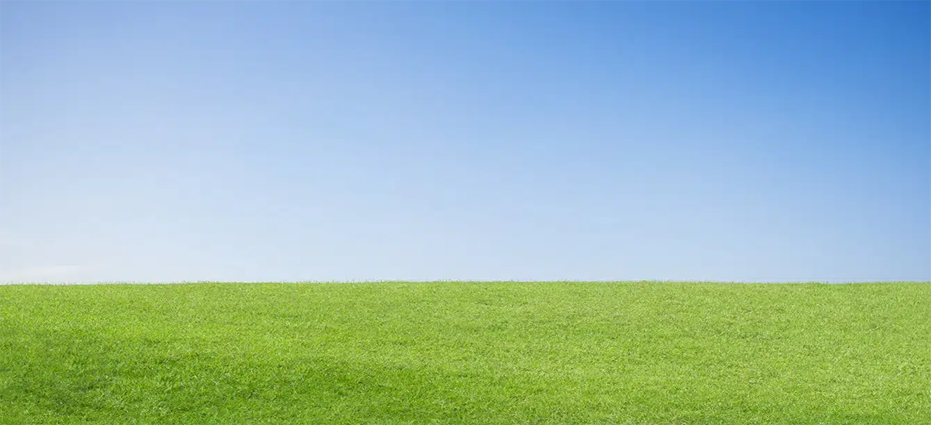Backgroung image for slider Background image (grass under blue sky)