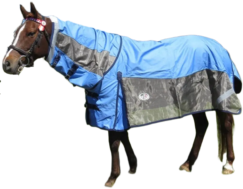 Horse with standard horse rug Horse with standard horse rug