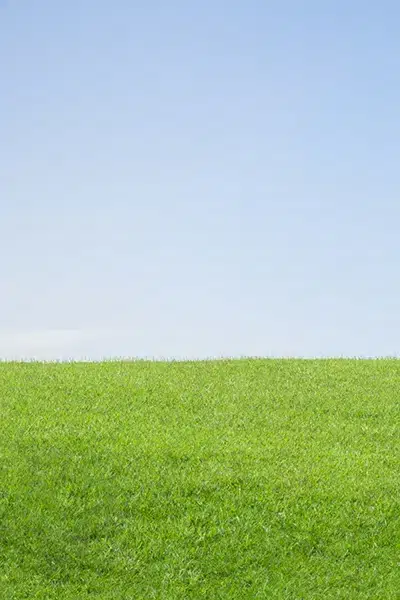 Banner background Banner background