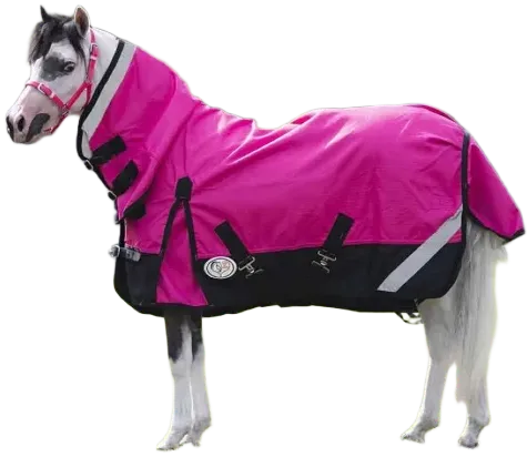 Mini horse with mini horse rug Mini horse with mini horse rug
