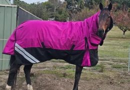 Stable Rugs vs Turnout Rugs