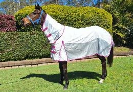 Fly Rugs & Fly Sheets for Horses: How to Choose the Right Insect Protection