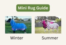 Mini Horse Rugs Australia: Miniature & Pony Rugs Guide